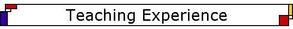 Teaching Experience